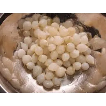 Common Frozen Onion