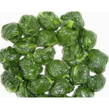 Fresh Frozen Spinach