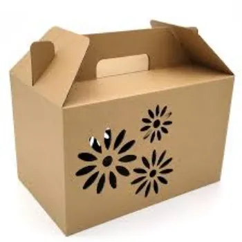 Fruit and Vegetable Packaging Boxes