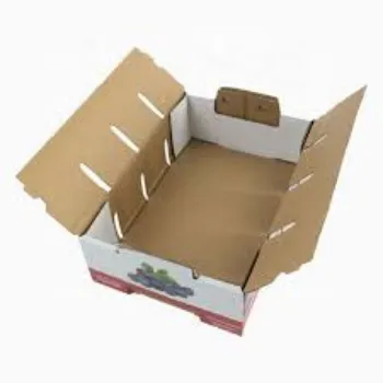  Fruit and Vegetable Packaging Boxes