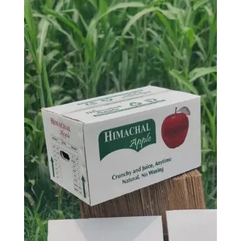 Fruit and Vegetable Packaging Boxes