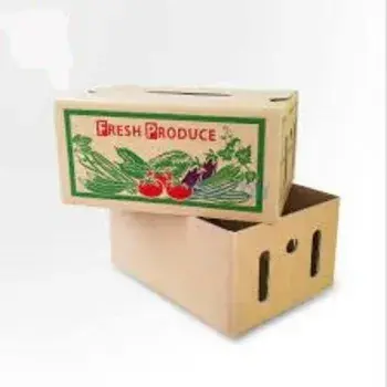 Lightweight Fruit and Vegetable Packaging Boxes