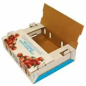Good Quality Fruit and Vegetable Packaging Boxes