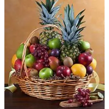 Solid Fruit Basket