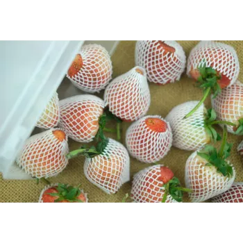  Good Strength  Fruit Packaging Foam Net