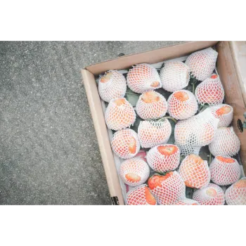 Fine finish  Fruit Packaging Foam Net