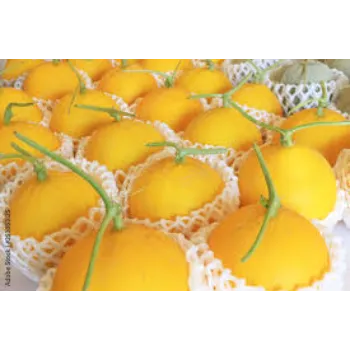 Fruit Packaging Foam Net