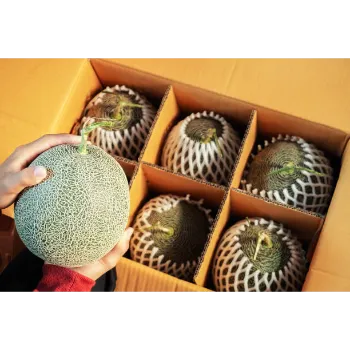   Light Weight  Fruit Packaging Foam Net