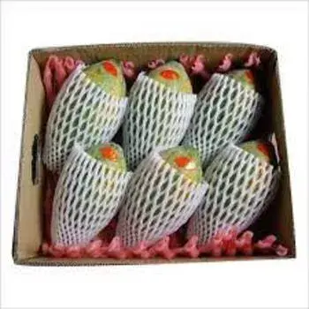 Fruit Packaging Foam Net
