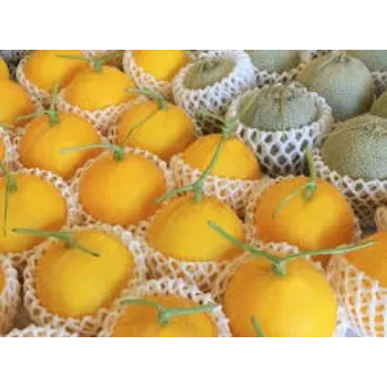 Plain Fruit Packaging Foam Net