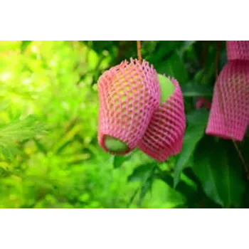 Solid Designed Fruit Packaging Foam Net