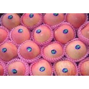 New Fruit Packaging Foam Net
