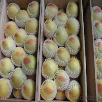 Fruit Packaging White Foam Net