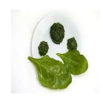 Green frozen spinach