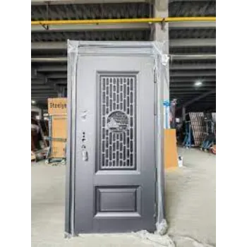 Premier Galvanized Door