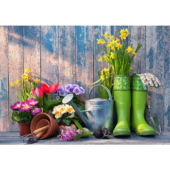 Garden Flower