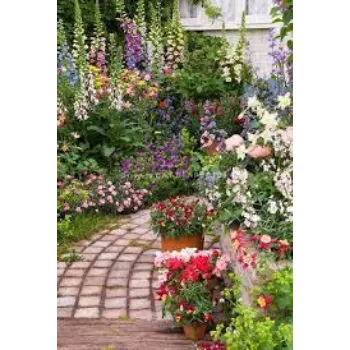 Roshni Agri forestry Garden Flower