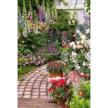 colorfull Garden Flower