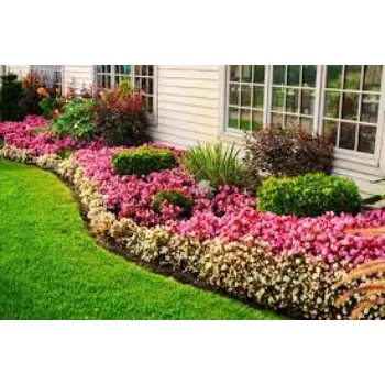 Natural Garden Flower