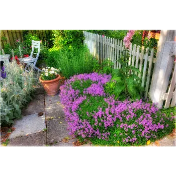  Garden Flower