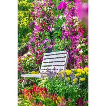 Garden Flower