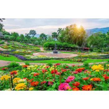 Fresh Garden Flowers