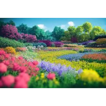 Common Garden Flowers