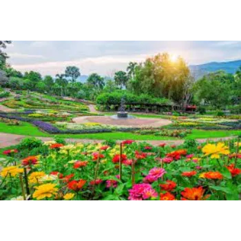 Natural Garden Flower