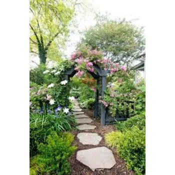 Natural Garden Flowers
