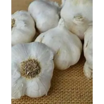 Natural Garlic