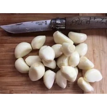 Garlic