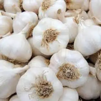 Natural Garlic