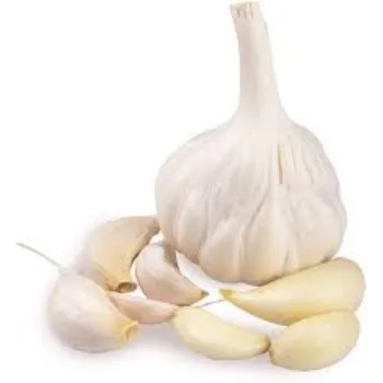 Organic Garlic