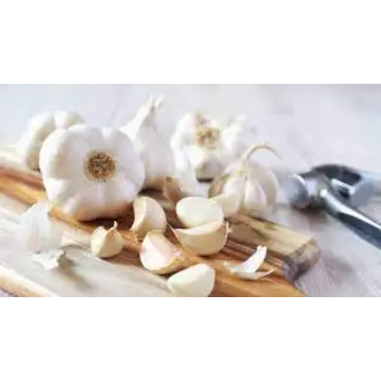 Natural Garlic