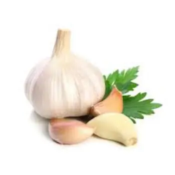 Natural Garlic
