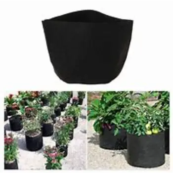 Multiple Geo Fabric Grow Bags