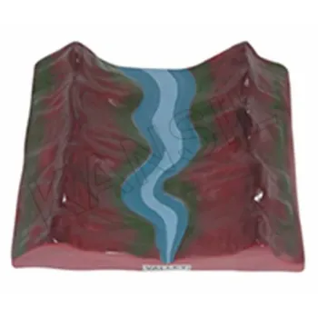 Camtronics Geographical Model