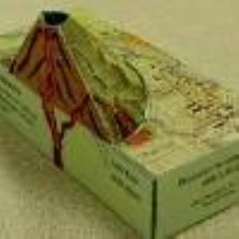 Geographical Model
