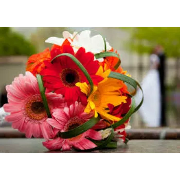 Natural Gerbera Flowers Manufacturer