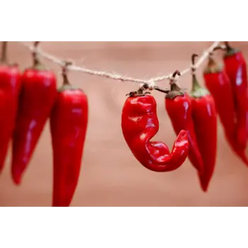 Common Ghost Pepper