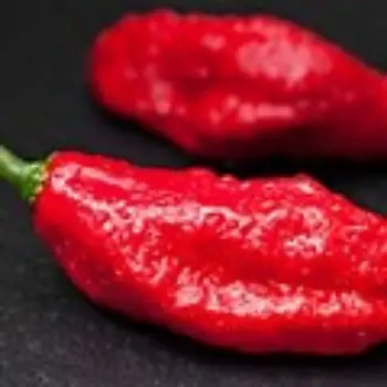 Ghost Pepper