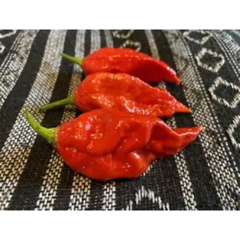 Ghost Pepper