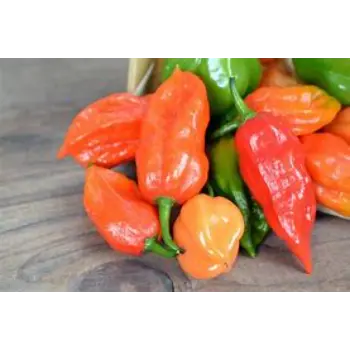 Natural Ghost Pepper