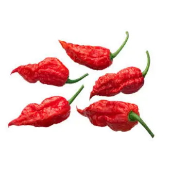 Ghost Pepper