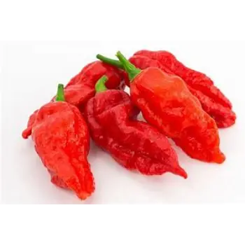 Ghost Pepper