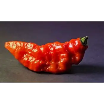 Ghost Pepper