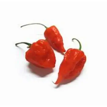 Ghost Pepper