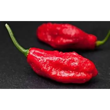 Ghost Pepper