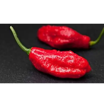Organic Ghost Pepper