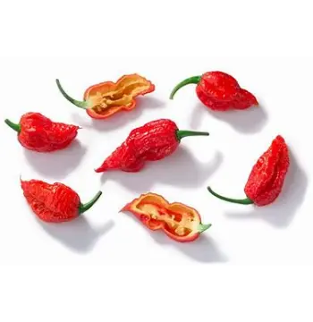 Organic Ghost Pepper